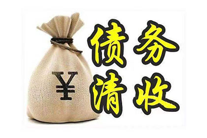 海阳清债公司